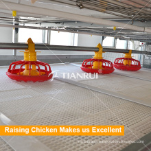 Chicken Cage System Automatic Chicken Feeder for Poultry